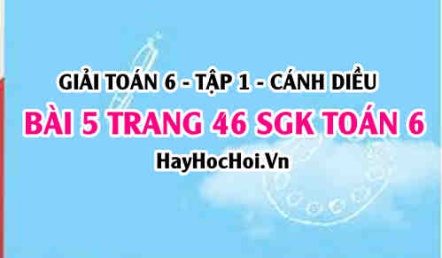 Giải bài 5 trang 46 Toán 6 Tập 1 SGK Cánh Diều